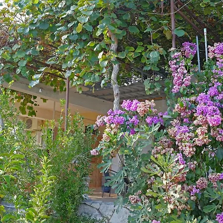 Spajic Seget Vranjica