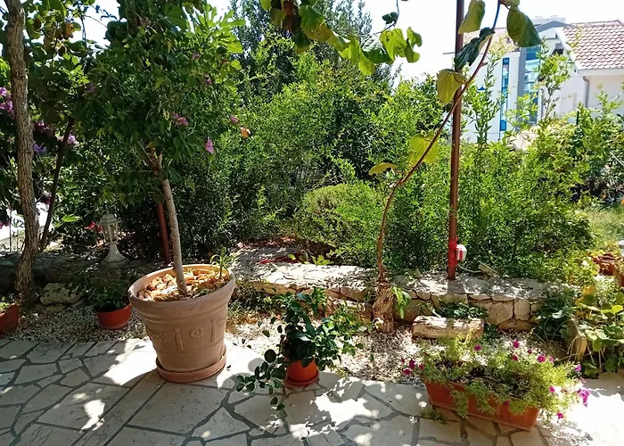 Spajić